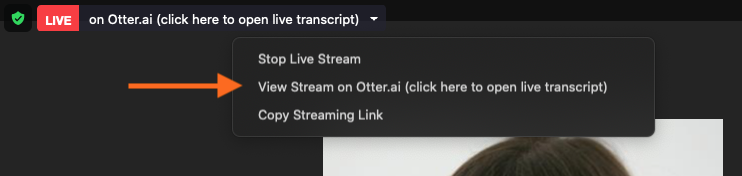 screenshot of zoom showing view live stream on Otter button