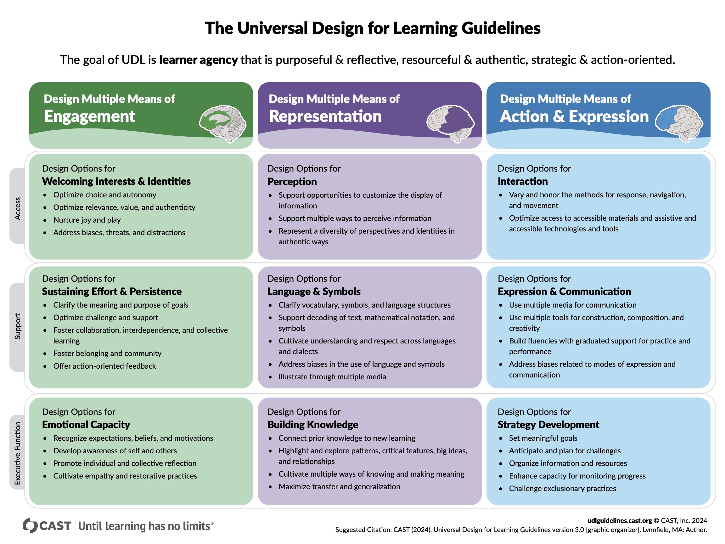 UDL Graphic Organizer.jpg