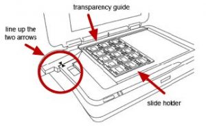 transparency holder placement instructions