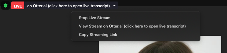 screenshot of zoom showing view live stream on otter button