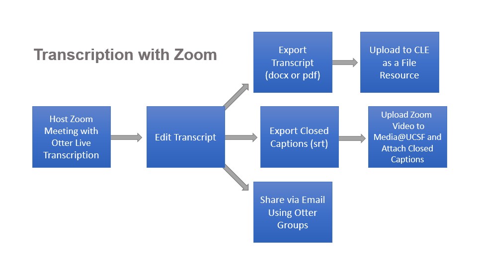 Flow chart of steps taken for editing and sharing transcripts