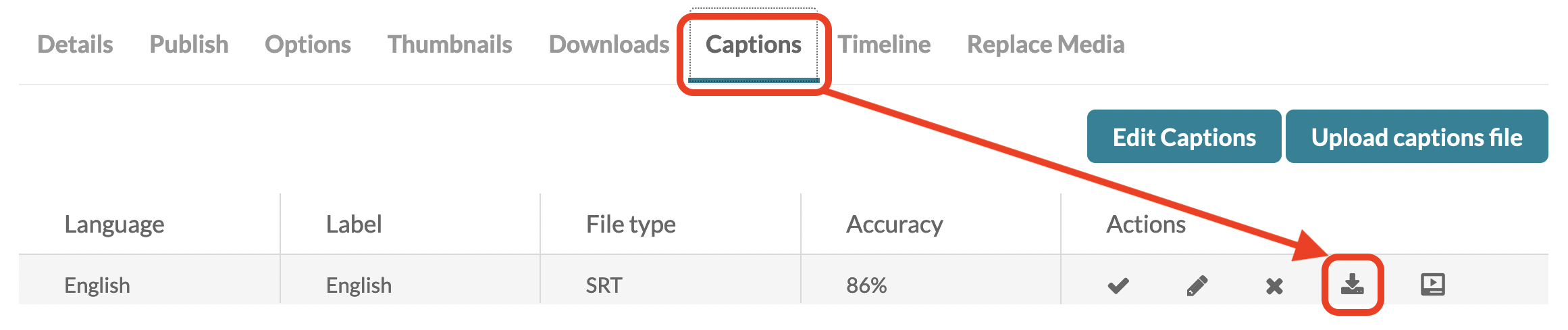 Captions_tab_-_download_button.png